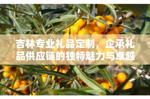 吉林专业礼品定制，企承礼品供应链的独特魅力与卓越服务